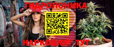 молекула духа Жуковский