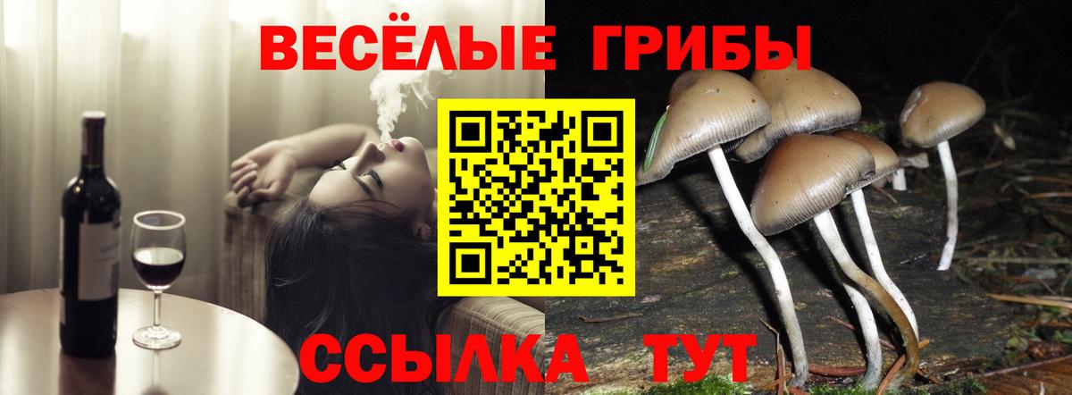 Галлюциногенные грибы MAGIC MUSHROOMS  Вход с VPN  Лосино-Петровский  как найти закладки  Псилоцибиновые грибы мицелий 